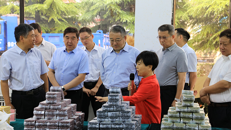 W020201125075643061479 pgµç×ÓÄ£ÄâÆ÷(ÖйúÓÎ)¹Ù·½ÍøÕ¾