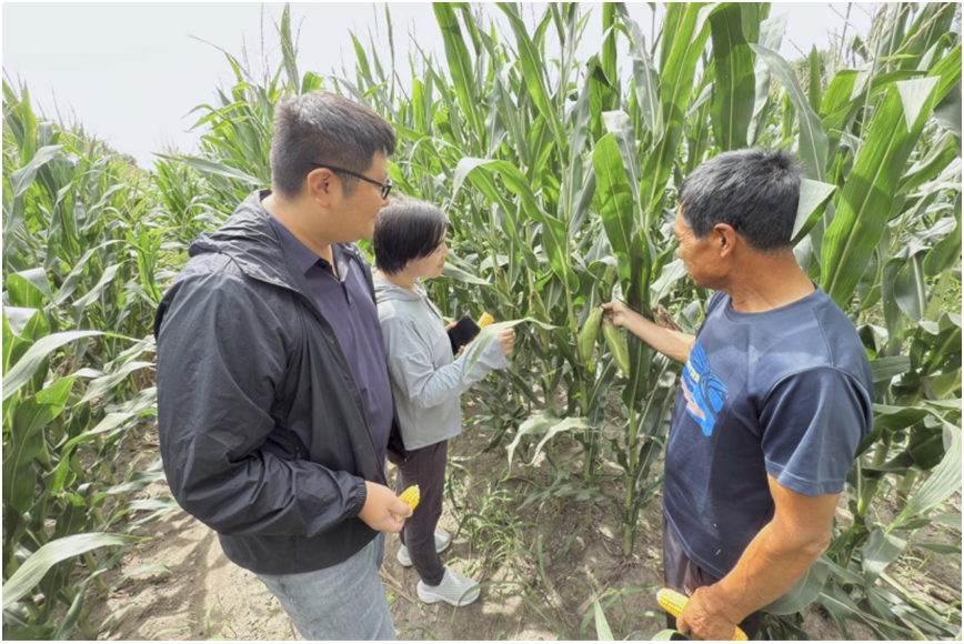 W020251030741266805233 pg电子模拟器(中国游)官方网站