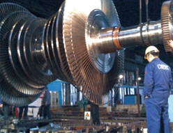 W020141125605915492213