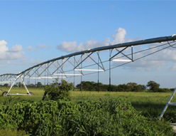 W020141125599465341229