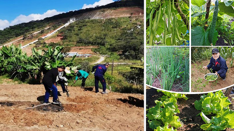 W020200527469133020112 pg电子模拟器(中国游)官方网站